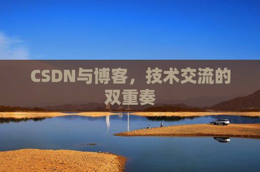 CSDN与博客，技术交流的双重奏